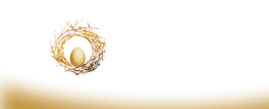 Nest Egg Asset Management