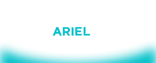 Ariel University