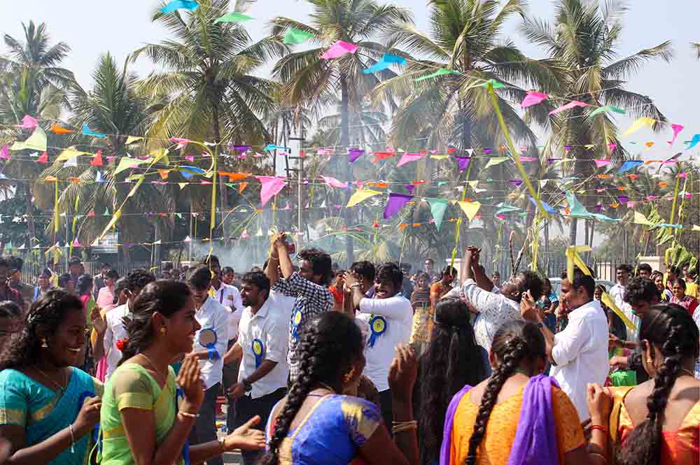பொங்கல் விழா